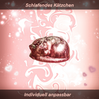 Schlafendes Kätzchen